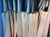 hard wooden cricket bat