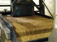 coffee seed processing machinery