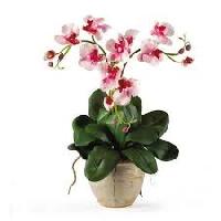 artificial orchids
