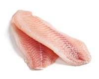 tilapia fish fillets