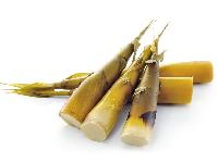 Bamboo shoot