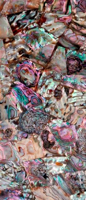 Abalone Pink Tiles