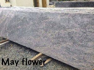 May Flower Granite Slabs