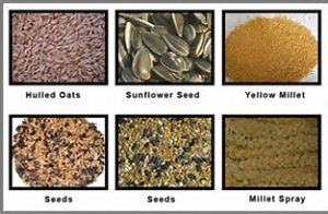 Food Grains