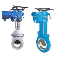 Motorized gate valve