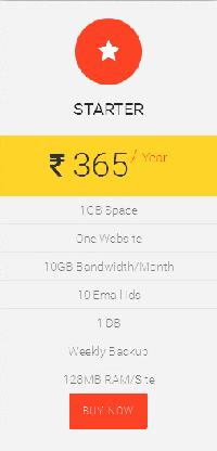 Cheap web hosting in 365Rs.