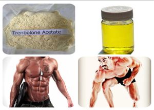Trenbolone Acetate Steroid Powder