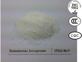 Testosterone Isocaproate, Brand Name : JNJG