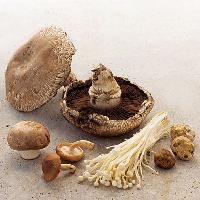 Natural Shiitake Mushroom, Color : Brown