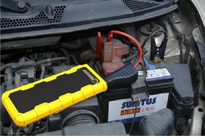 Auto Electrical Parts & Components