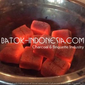 Shisha Coconut Charcoal Briquette