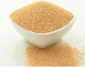 Organic Amaranth Seeds