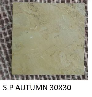 30X30 SP Autumn Slate Stone
