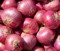 Fresh Onion