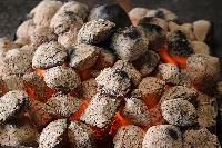 Premium Coconut Charcoal Briquettes