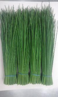 Fresh Chives