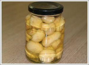 canned mushroom