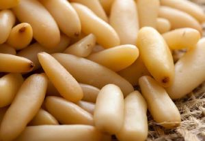 pine nuts,  Processing Type : Dried