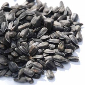 sunflower seeds