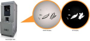 Crystal Clear Crystal Clear