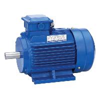 Water Pump Motor