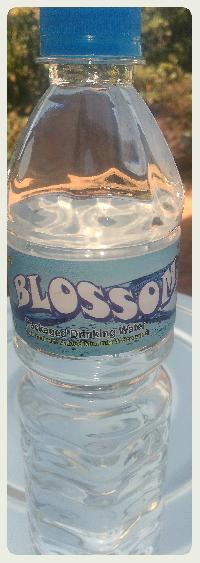 1 Liter BLOSSOW Water Bottle