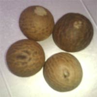 betel nut