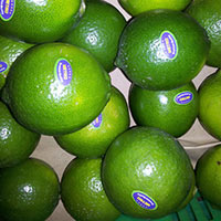 Seedlees Lime