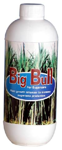 Big Bull (Sugar Cane)