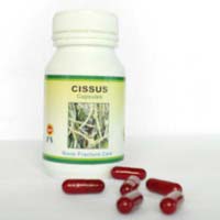 Cissus Capsules