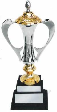 Brass Sports Trophy (s-255)