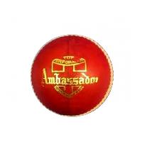 Bdm Ambassador Cricket Ball - Sabkifitness.com