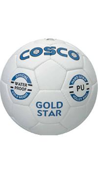 Cosco Gold Star Volleyball