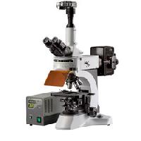 Trinocular Head HS 5000FT EPI Fluorescent Microscope
