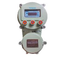 Flame Proof Process Controller