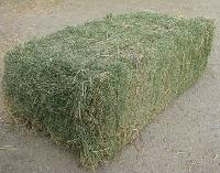 Quality Alfalfa Hay