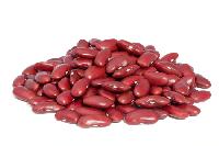 Quality Red Kidney Beans