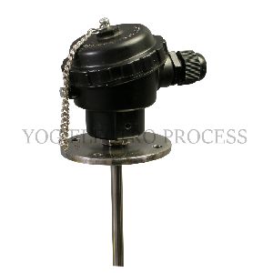 Thermocouple with Flanges At Head