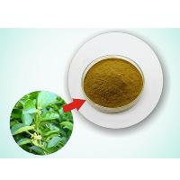 Herbal Extracts Manufacturers In Delhi