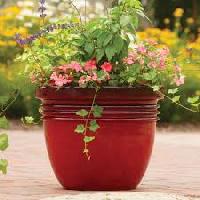 Decorative Pot and Planter