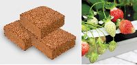 Coir Products