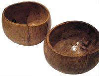 coconut shell cups