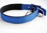 JUST DOGS 1 Double Thick Collar