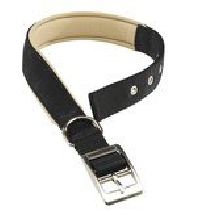 DOGS 3-4 Single Thick Collar