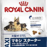Royal Canin Maxi Starter, 4 kg