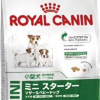 3 kg Royal Canin Mini Starter dog food