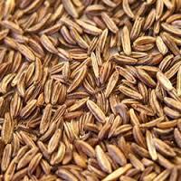 Caraway Oil