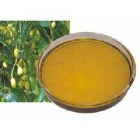 Organic Neem Oil