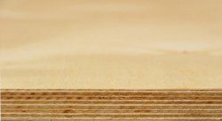 Birch Plywood