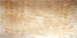 Plywood